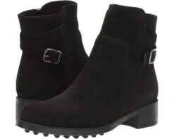 La Canadienne Scorpio