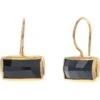Chan Luu Jet Crystal Earrings