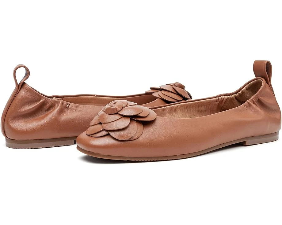 LINEA Paolo Nina 1 LINEA Paolo Nina