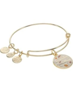 Alex And Ani Sweater Weather Bracelet
