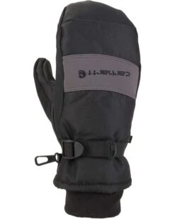 Carhartt Men's W.P. Waterproof Insulated Mitt