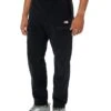 The North Face Alpine Polartec® 200 Pants