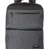 Hedgren Source 15.6" RFID Laptop Backpack